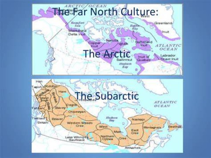 what does subarctic mean - Lisbd-net.com