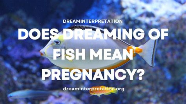 what does the darwin fish mean