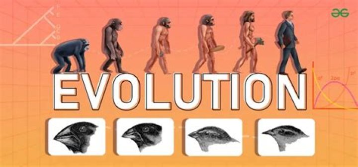 what does the theory of evolution contribute to conservation biology?