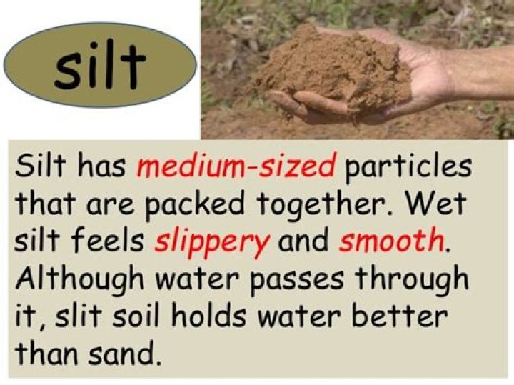 what does the word silt mean