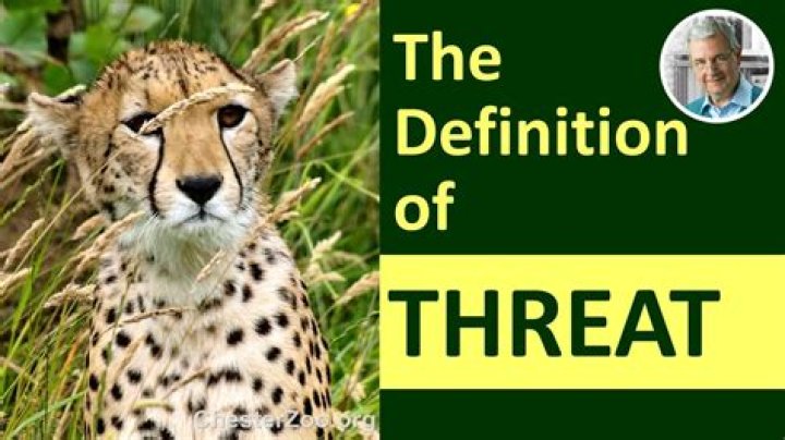 what does the word threatened mean