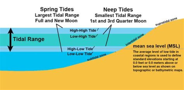 what does tidal range mean