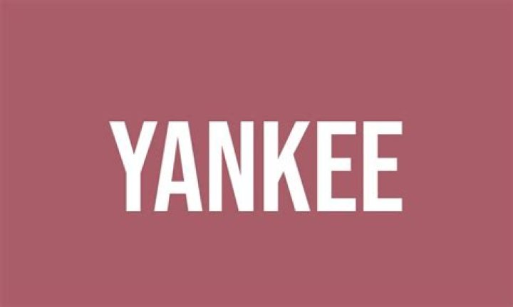 what does yank mean - Lisbd-net.com