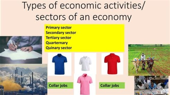 what economic activities took place in portuguese brazil