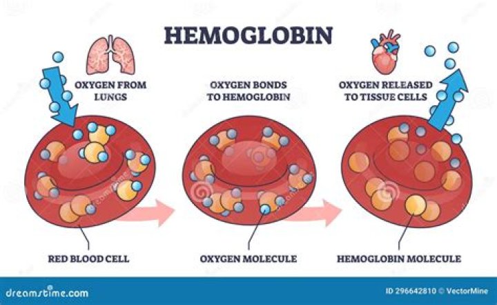 what environmental conditions induce oxygen to bind to hemoglobin?