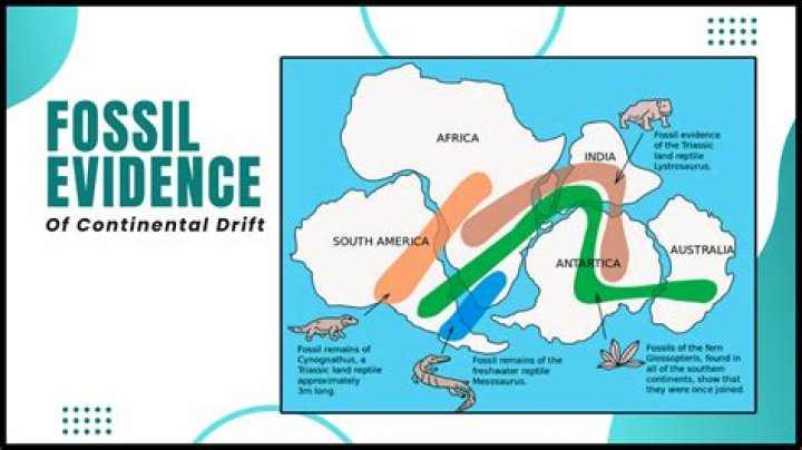 what evidence exists to support the existence of pangea?