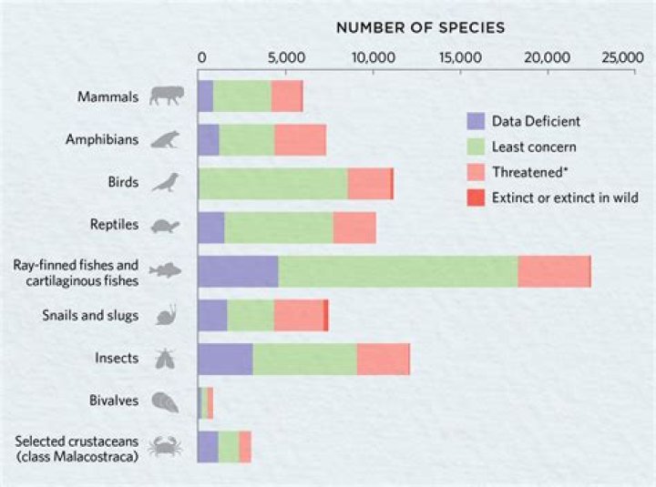 what evidence shows that different species are related