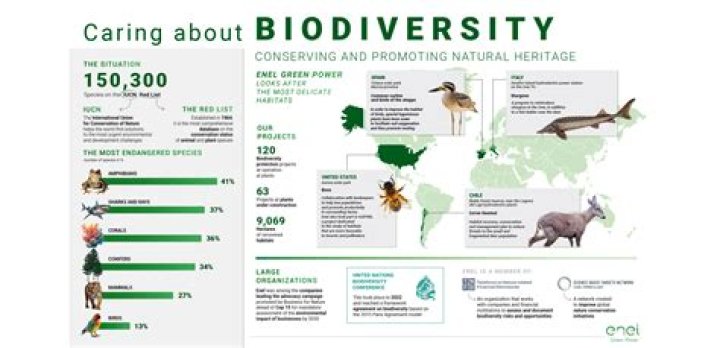 what exactly does biodiversity measure within an ecosystem