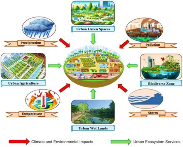 what factor would have most likely prevented the problems that cities faced during urbanization?