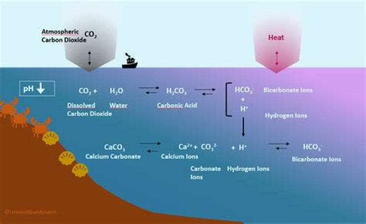 what factors affect the chemical properties of seawater
