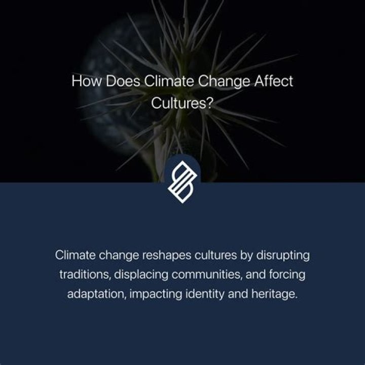 what factors change cultures - Lisbd-net.com