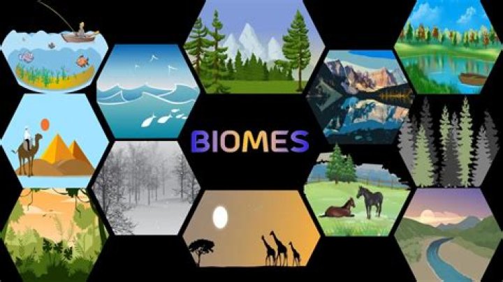 What Factors Determine Biomes? - Lisbd-net.com