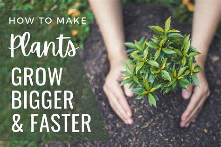 what farmers sow to make plants grow