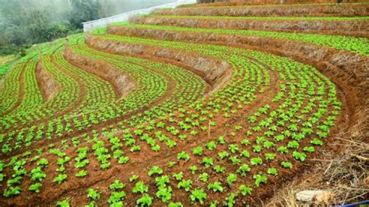 what farming technique is especially useful in mountainous regions