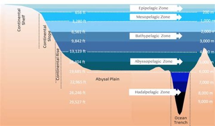 what feature of the ocean allows it to alter weather patterns?