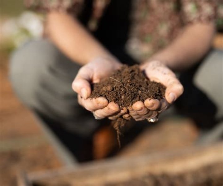 what four things make up soil