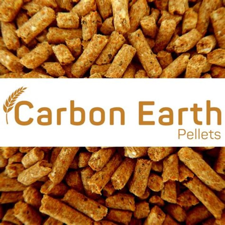 what happened to carbon earth company