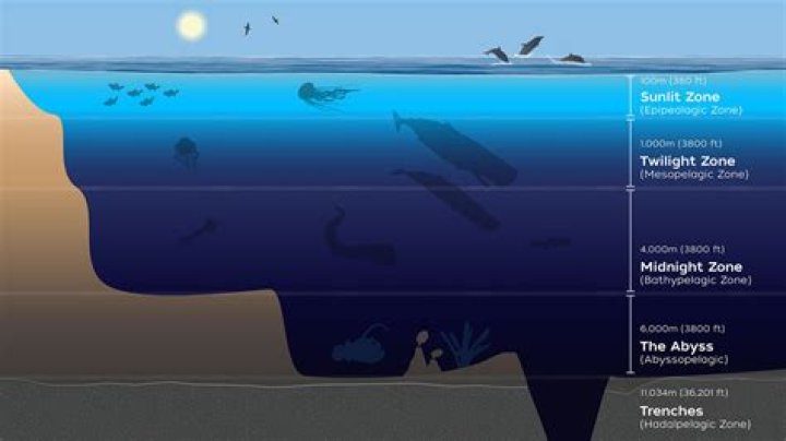 what happens as you descend from the ocean surface to the deeper layers of the ocean?