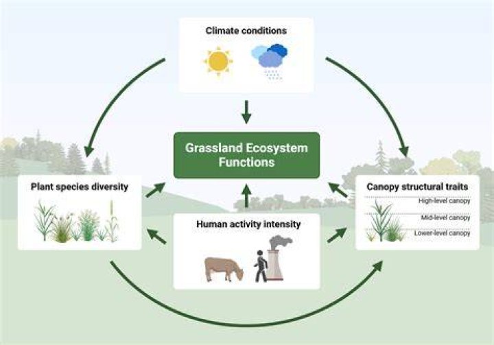 what happens if one part of the ecosystem is damaged or destroyed