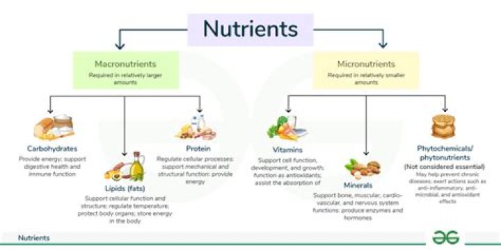 what happens to certain nutrient molecules after