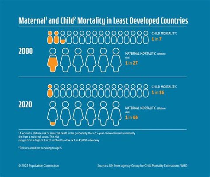 what happens to the density of a population due to mortality and emigration?