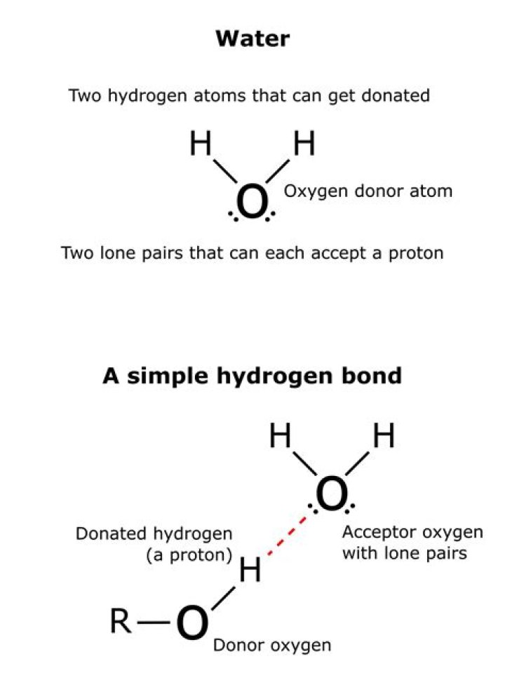 what happens when two hydrogen atoms bond