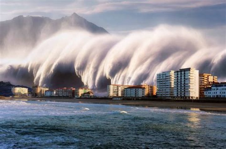 what has been the greatest environmental impact as a result of the tsunami