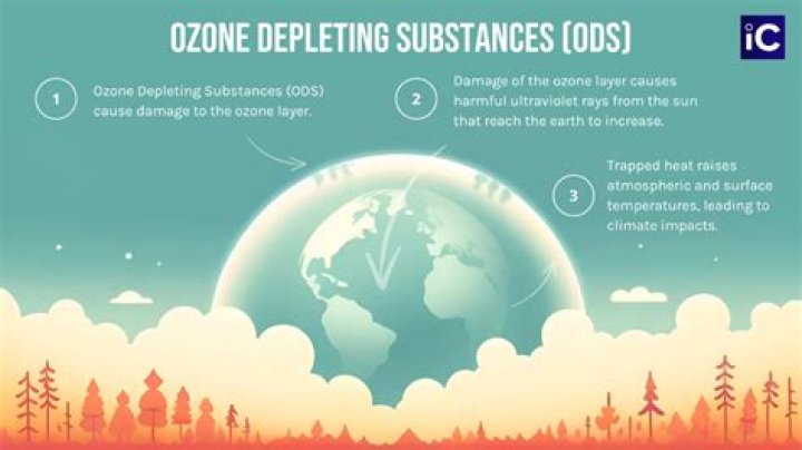 what impact does ozone depletion have on plant and animal life?