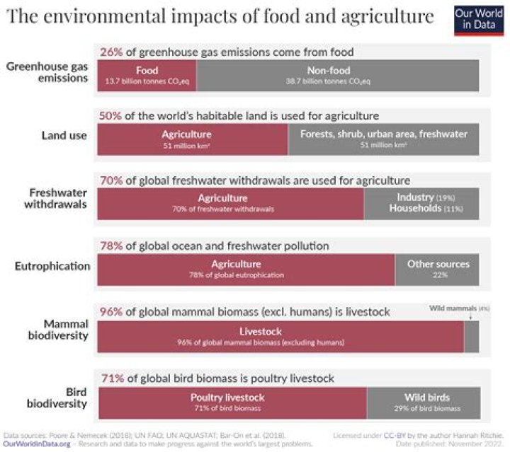 what important social impact did the rise of agriculture have