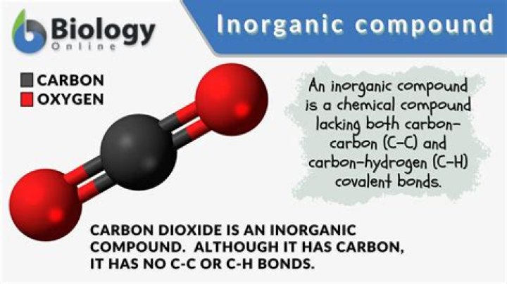 what inorganic molecule is carbon normally found in