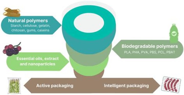 what is a biodegradable pollutant
