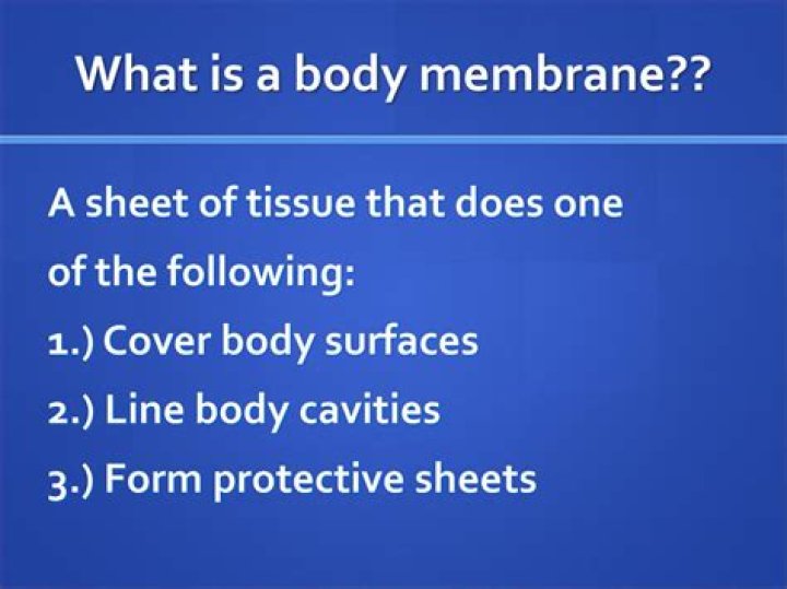 what is a body membrane