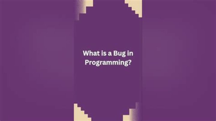what is a bug in programming