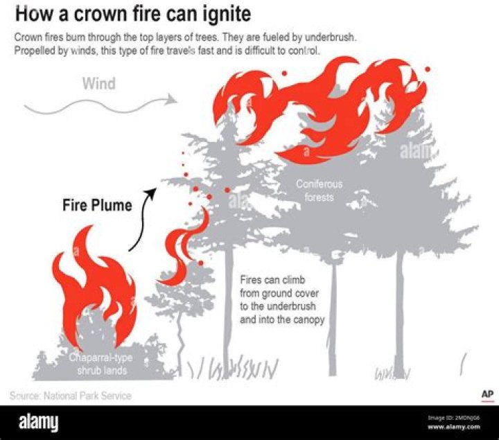 what is a crown fire