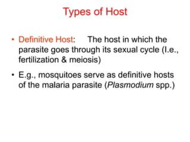 what is a definitive host