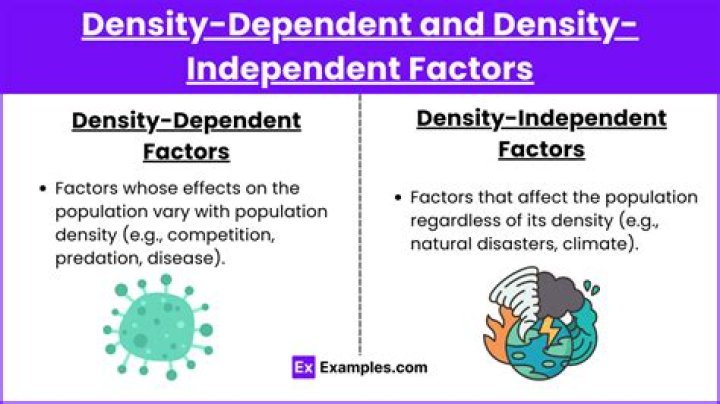 what is a density independent factor