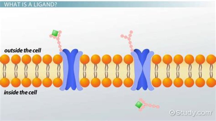 what is a ligand in biology