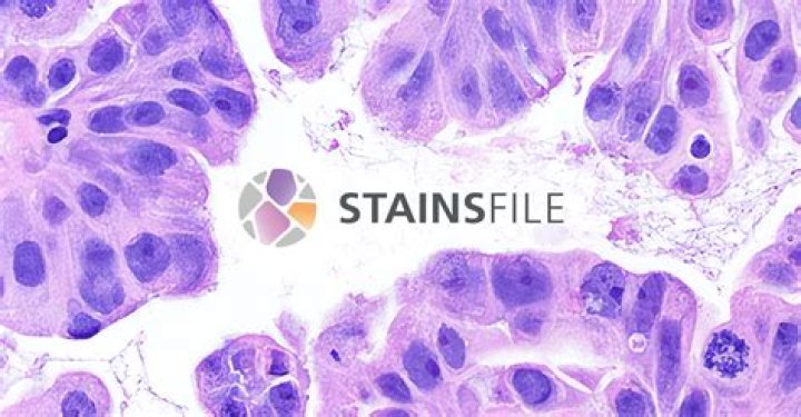 what is a mordant in staining