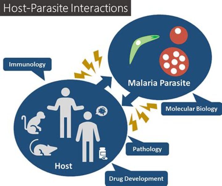 what is a parasite host relationship