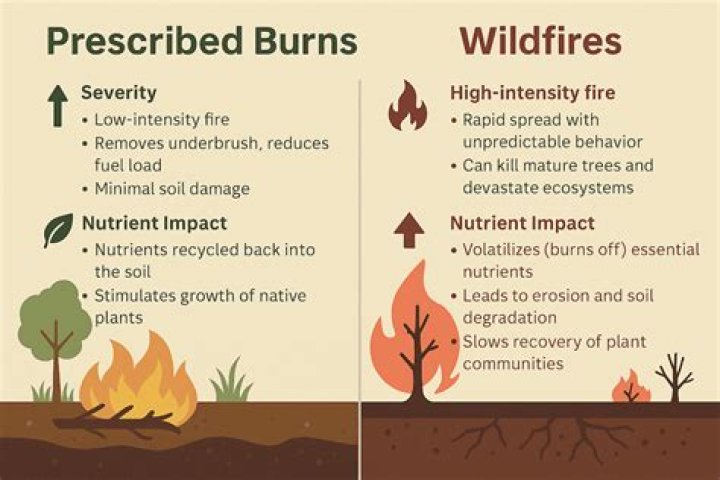 what is a prescribed fire?