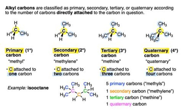 what is a primary carbon