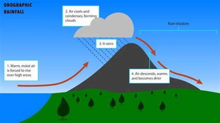 what is a rain shadow?
