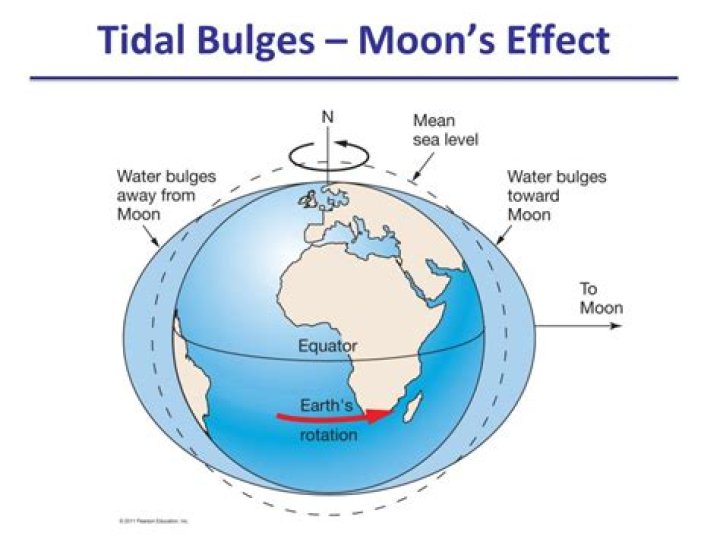 what is a tidal bulge?