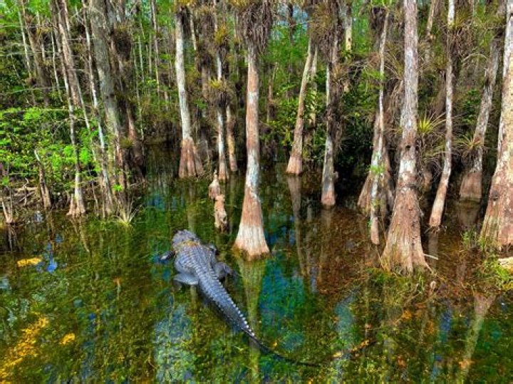 what is a wildlife preserve