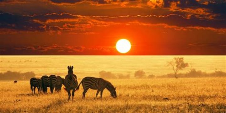 what is africa famous for