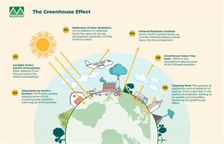 what is an effect of la niÃ±a apex