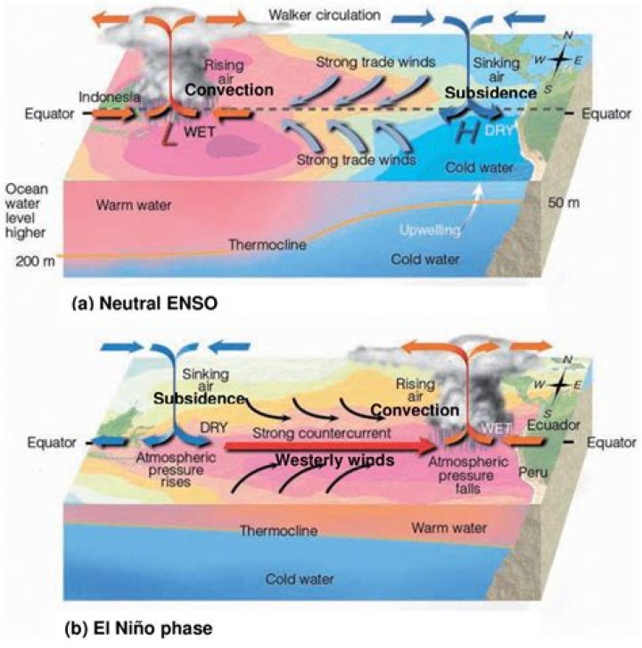 what is an enso - Lisbd-net.com