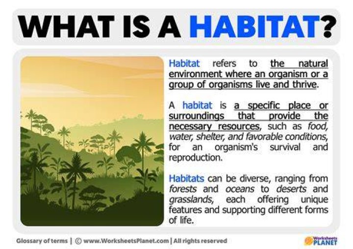 what is an example of a habitat