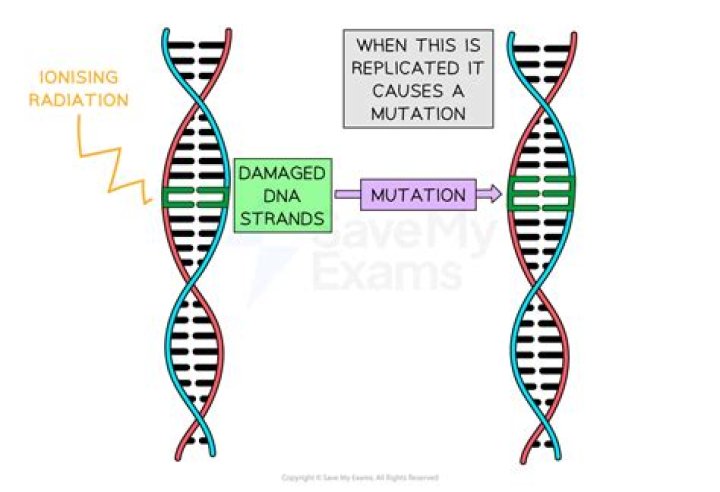 what is an example of a harmful mutation