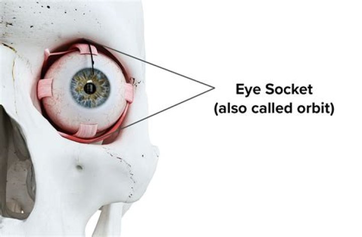 what is an eye socket